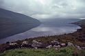 WT 2900 345-28 Ireland